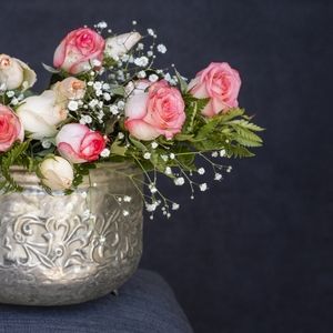 Meet your Posher, Maria